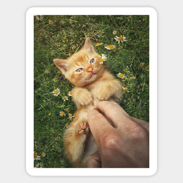 petting an orange kitten Sticker by psychoshadow